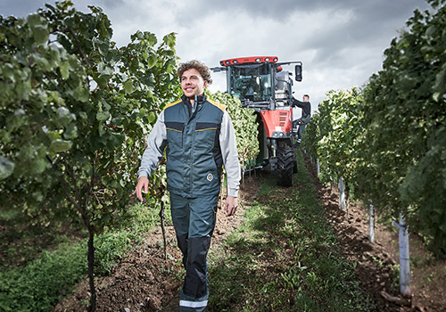 Eine lächelnde Person in Arbeitskleidung geht unter bewölktem Himmel mit einem Traktor hinter sich durch Weinbergreihen.