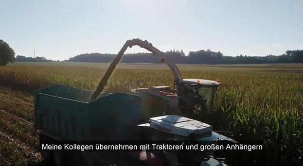 Ein Traktor erntet Mais auf einem Feld und füllt unter freiem Himmel einen großen Anhänger mit gehäckseltem Erntegut.