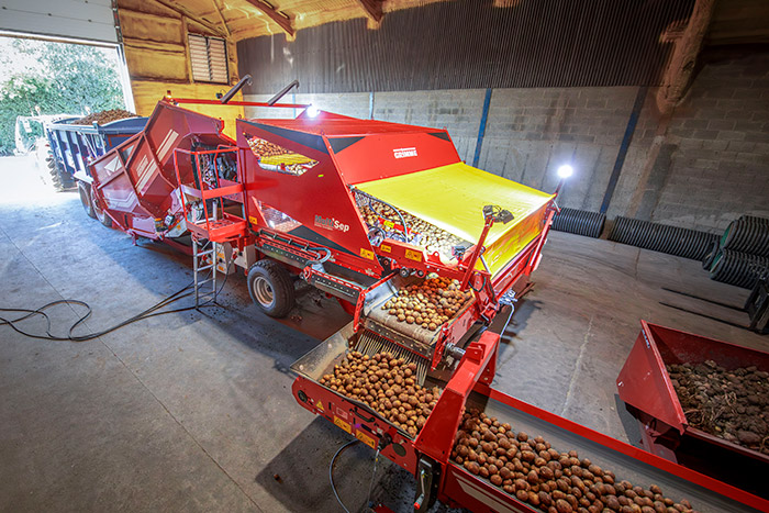 Eine große rote Kartoffelsortiermaschine verarbeitet Kartoffeln in einer großen Lagerhalle.