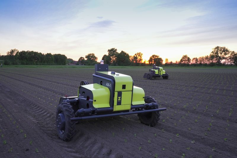 Zwei grüne autonome Traktoren arbeiten bei Sonnenuntergang auf einem Feld, auf dem Reihen von Jungpflanzen zu sehen sind.