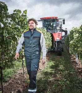 Ein Mann in Arbeitskleidung geht durch einen Weinberg, ein roter Traktor und eine weitere Person sind unter bewölktem Himmel zwischen den Weinstöcken zu sehen.